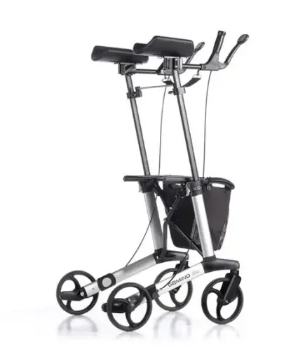 [6913] Gemino 30 Walker - Silver grey